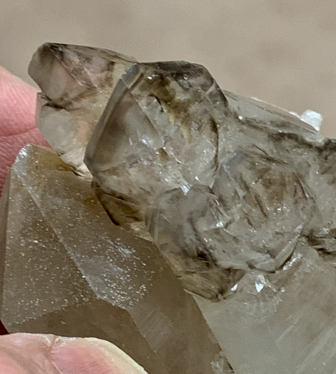 Capture d’écran 2022-03-26 à 22.07.29.png