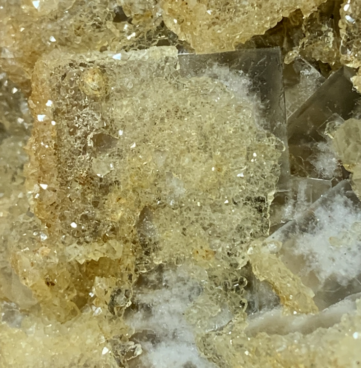 Capture d’écran 2022-04-25 à 04.05.36.png