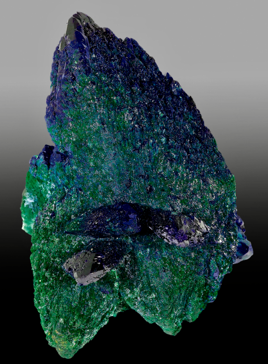 Capture d’écran 2022-05-21 à 13.54.24.png