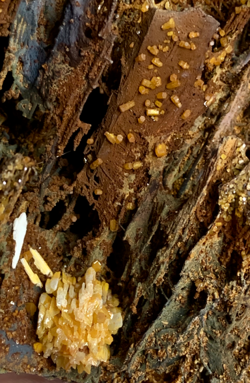 Capture d’écran 2021-11-12 à 00.28.20.png