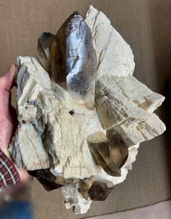 Capture d’écran 2022-05-18 à 23.13.24.png