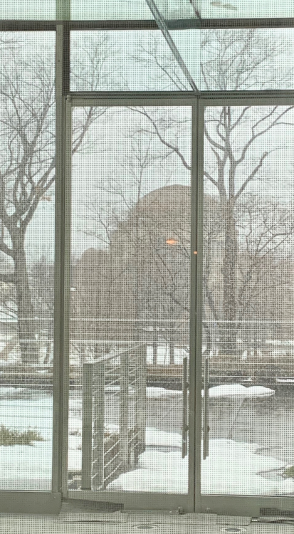 Capture d’écran 2022-05-10 à 10.22.15.png