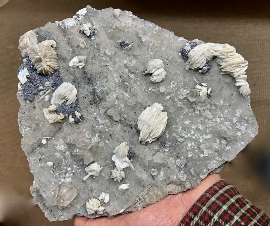 Capture d’écran 2022-05-18 à 23.16.52.png