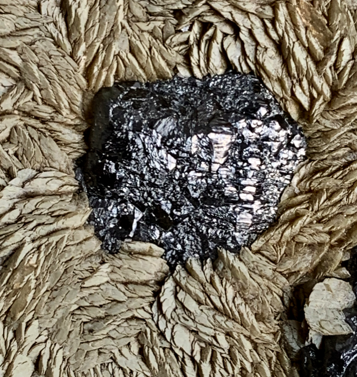 Capture d’écran 2021-11-12 à 00.32.46.png