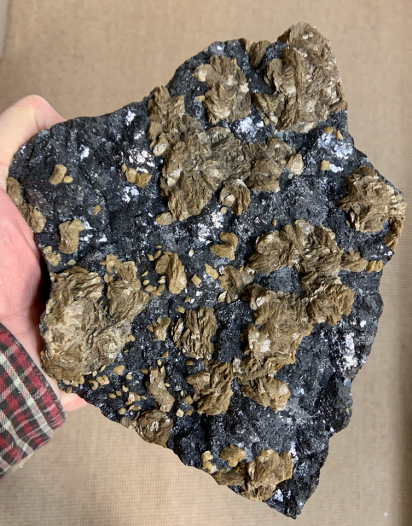 Capture d’écran 2021-11-12 à 00.36.03.png