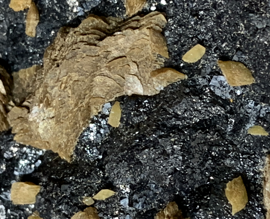 Capture d’écran 2021-11-12 à 00.36.43.png