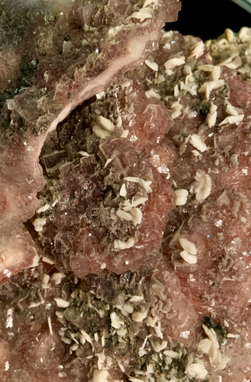 Capture d’écran 2022-05-13 à 22.33.22.png