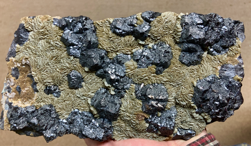 Capture d’écran 2021-11-12 à 00.32.26.png