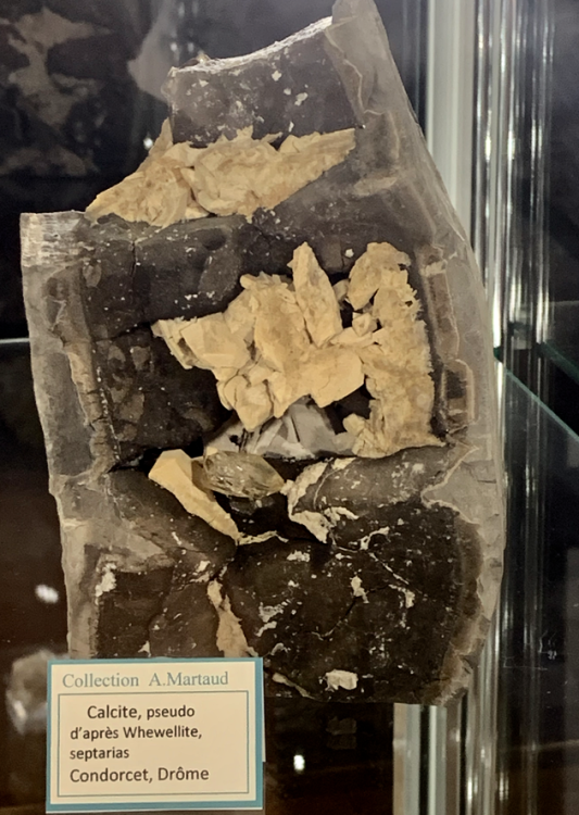 Capture d’écran 2022-05-01 à 11.23.58.png