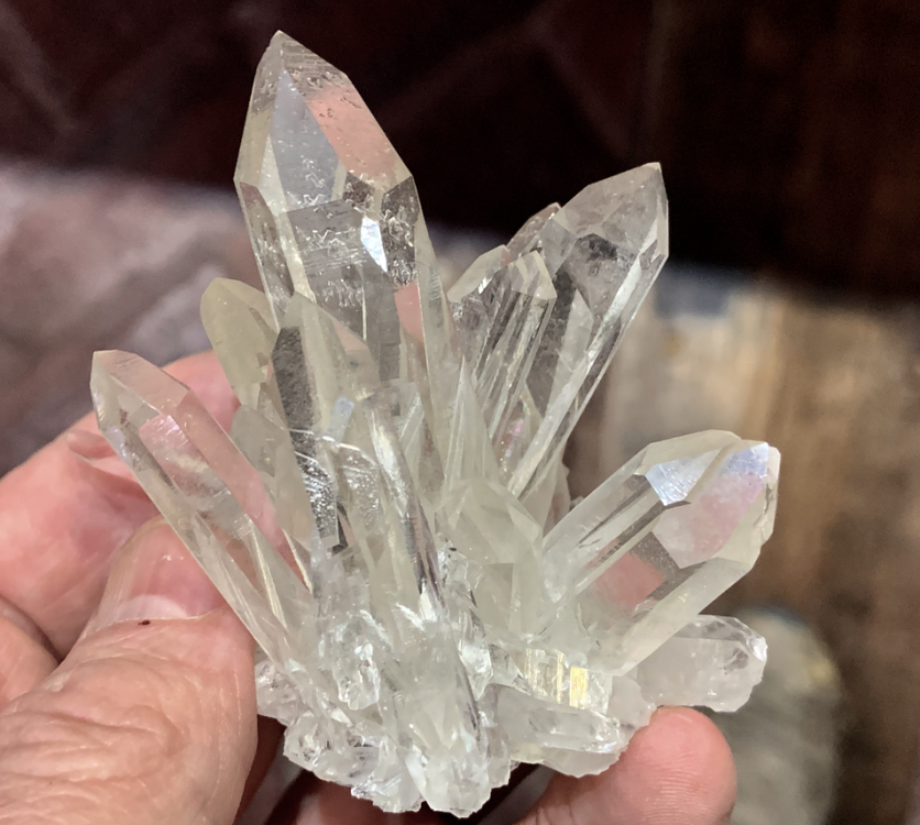 Capture d’écran 2022-05-13 à 23.06.19.png