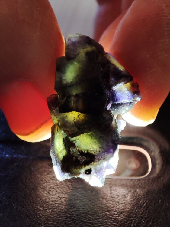 fluo la chaume 2.jpg