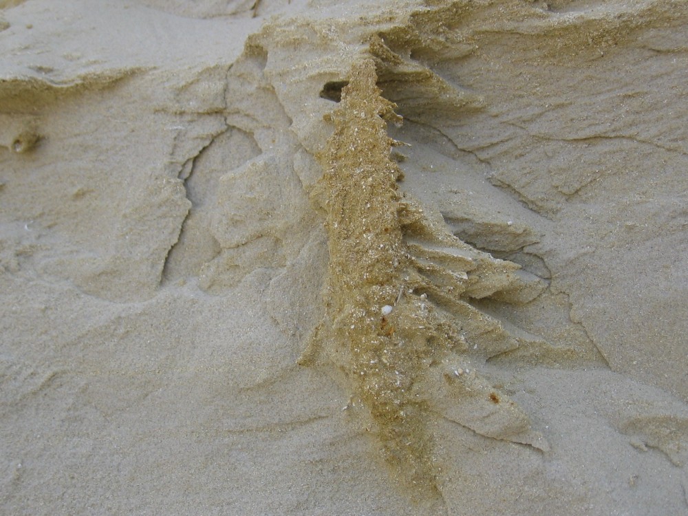 le guepelle coupe du23 028.jpg