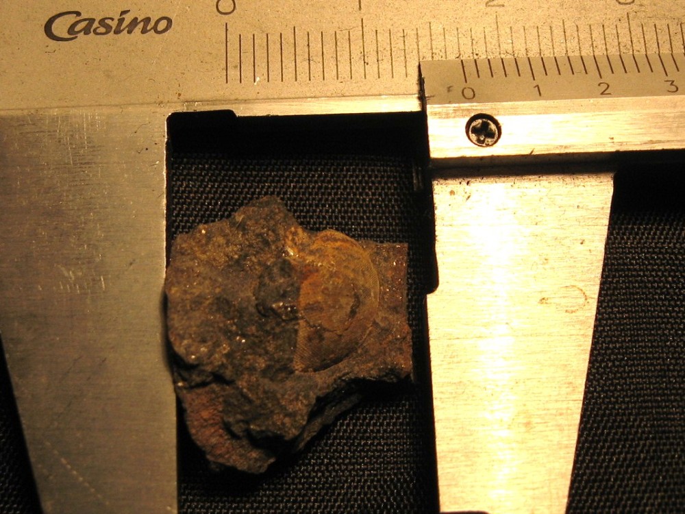 Bassin Ancenis 08-11-2009-11 -.JPG