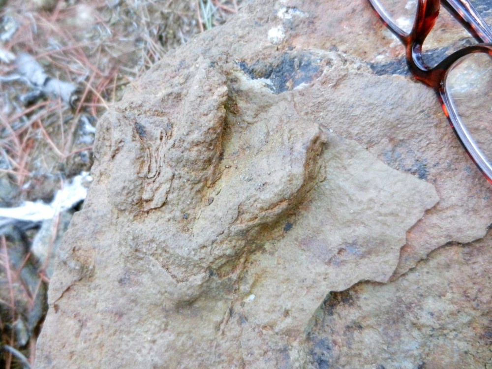 contre empreinte1-6.JPG