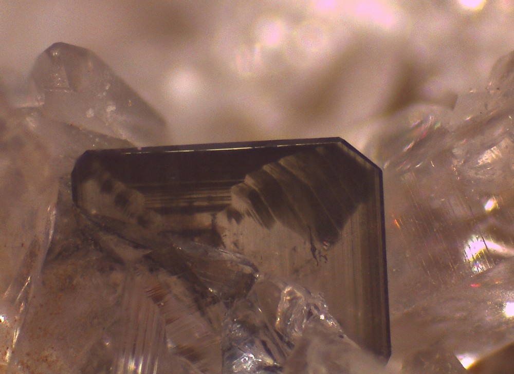 Jarrier 30x20 s10.jpg