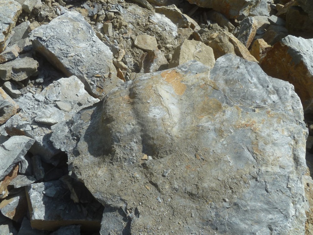 Carrière St Aubin des Châteaux 30-05-2021 (8).JPG