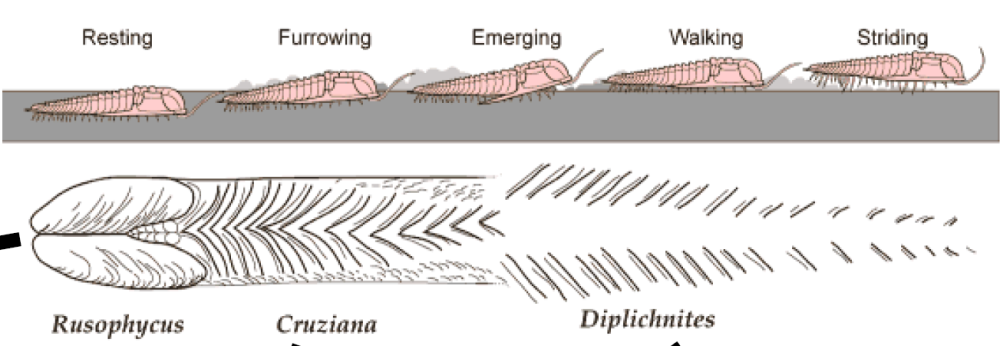 Capture d’écran 2022-08-27 020705.png