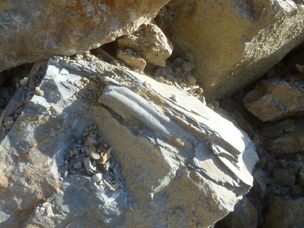 Carrière Saint Aubin des Châteaux 17-10-2021 (10).JPG