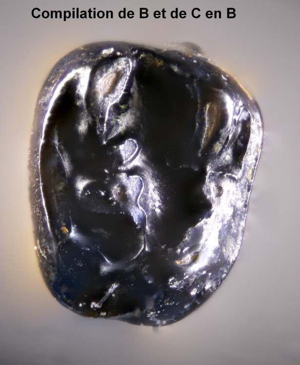 compil_B_et_C_enB.jpg