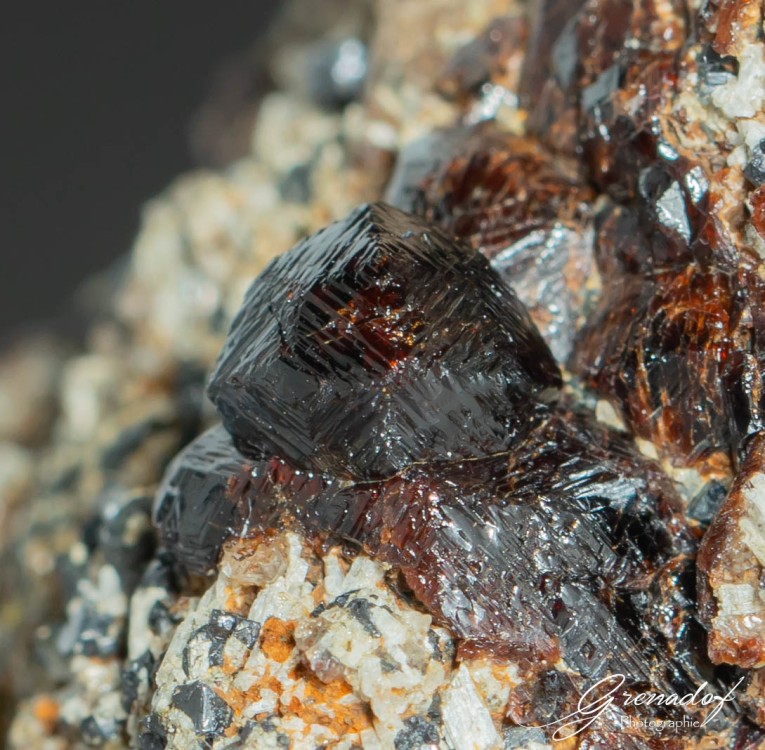 Fellins Fov10mm.JPEG