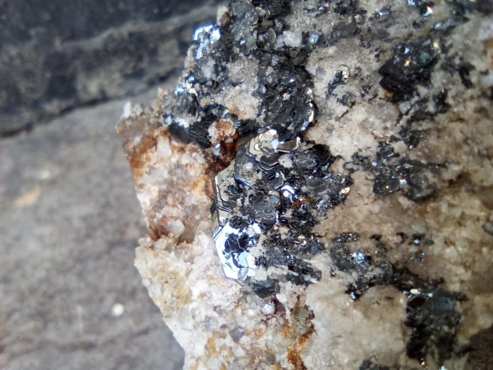 WhatsApp Image 2022-09-18 at 19.07.18.jpeg