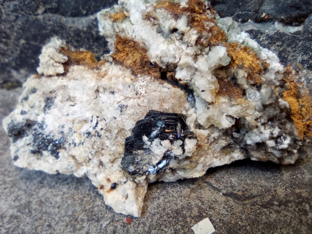 WhatsApp Image 2022-09-18 at 19.07.20 (1).jpeg