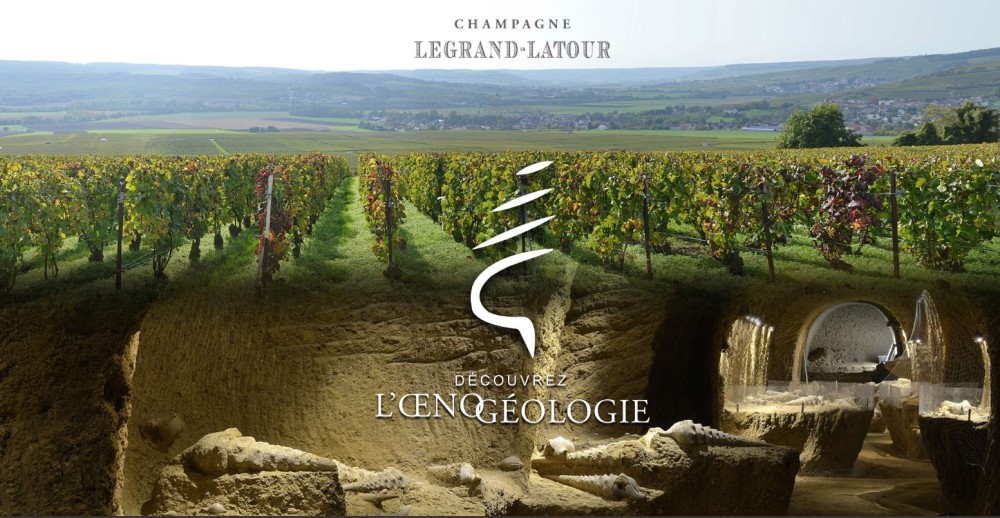 la cave aux coquillages.jpg