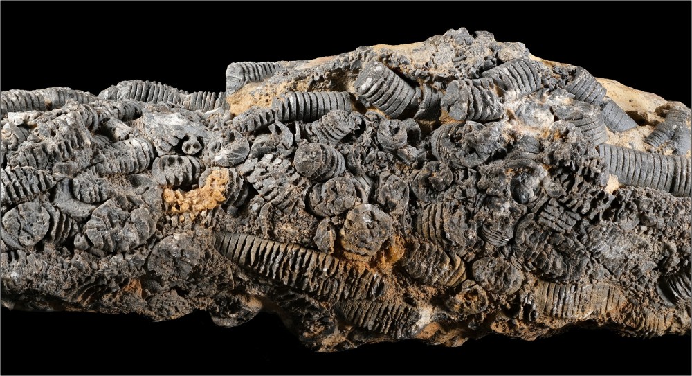 656221055_Crinode-Maroc-Tranche1-Hfov105mm.thumb.jpg.6cdc6c9783249dff8c47a3dcb341422b.jpg