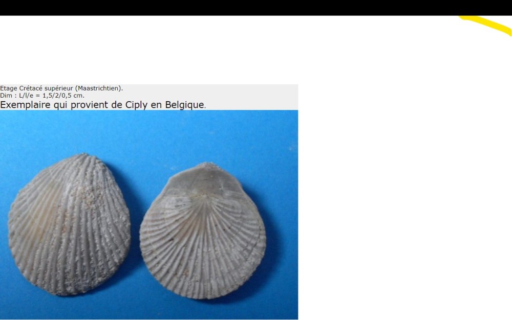 Capture d’écran 2022-10-14 135245.jpg