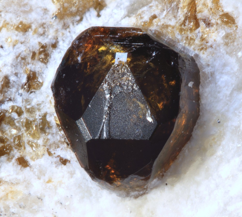 Dravite Arignac 008.jpg