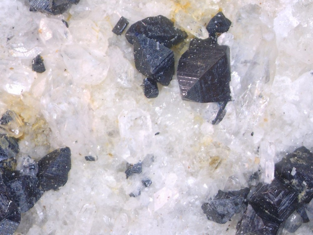 2022-10-10 09-33-46 (B,R8,S4).jpg