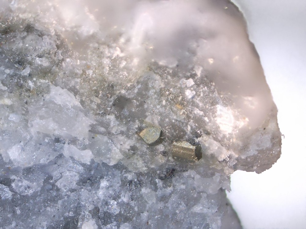 2022-10-15 14-26-22 (A,R8,S4).jpg