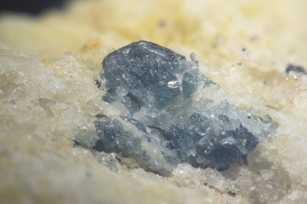 Sapphirine etang de Lhers 004 (2).jpg