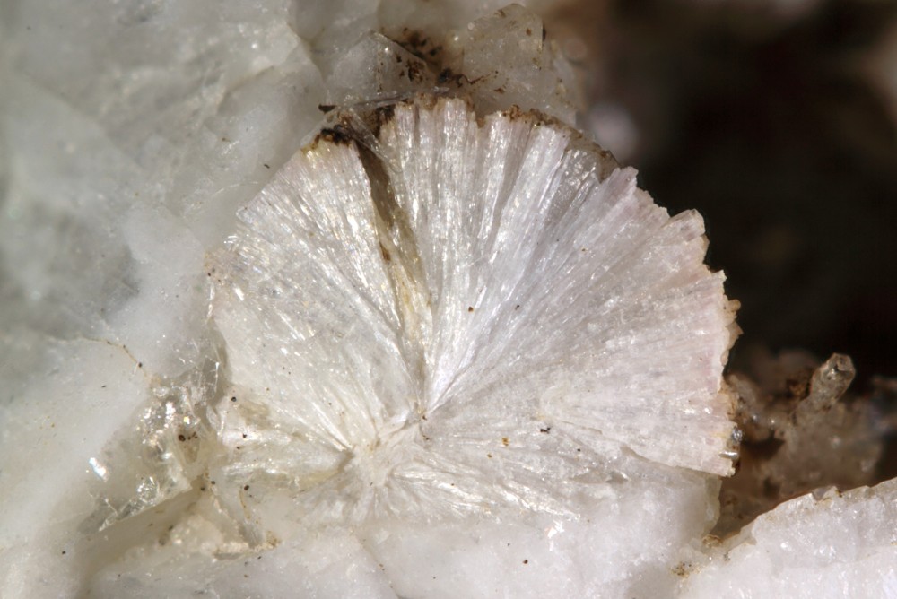 Zoïsite en rosette le Bari 002 (2).jpg