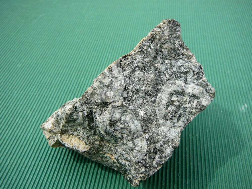 Corsite Diorite orbiculaire Sainte Lucie de Talliano Corse France 2.JPG