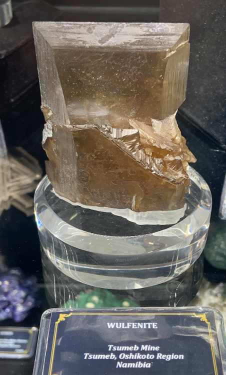 Capture d’écran 2022-10-09 à 08.49.11.png