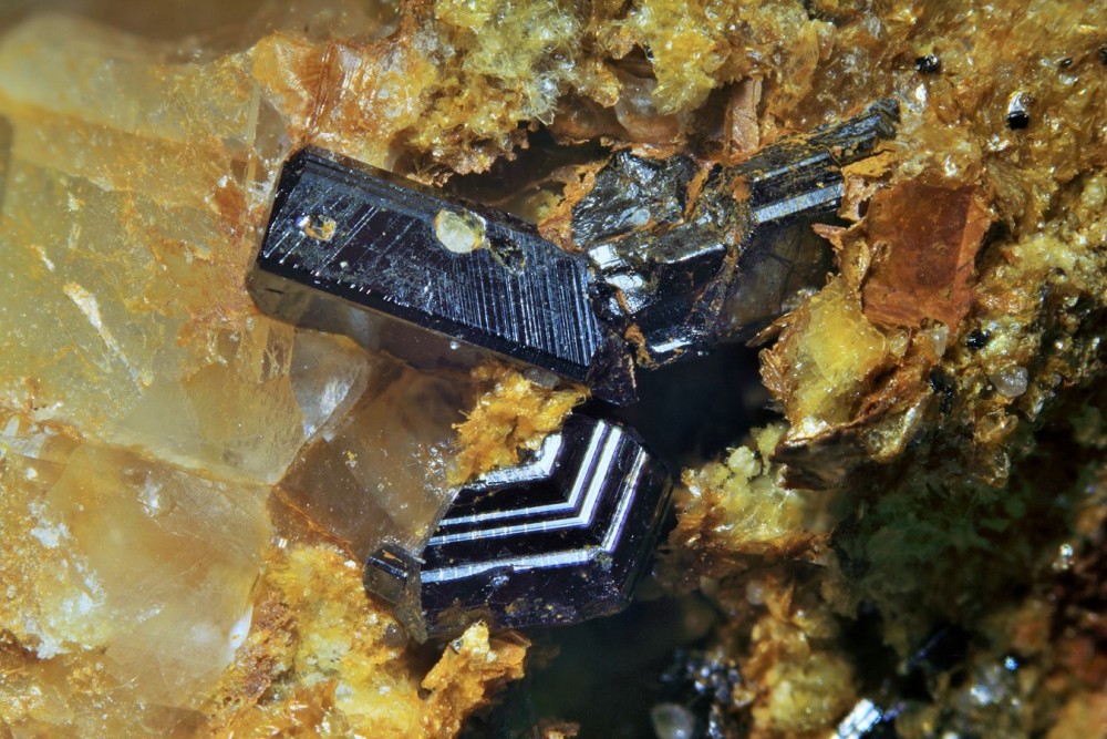 Rutile le Bari 019 (2) (Copier).jpg