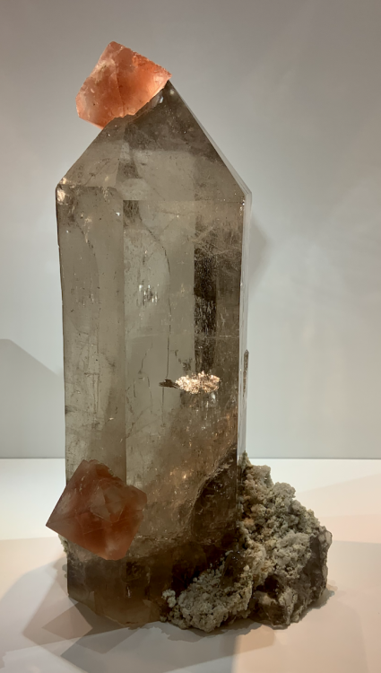 Capture d’écran 2022-10-09 à 08.53.21.png