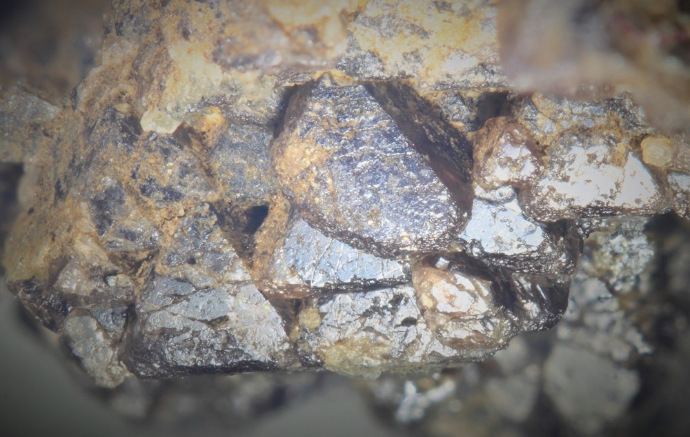 Spinelle le Bari 004 (6) (Copier).jpg