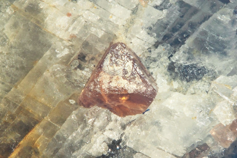 Spinelle le Bari 004 (4) (Copier).jpg