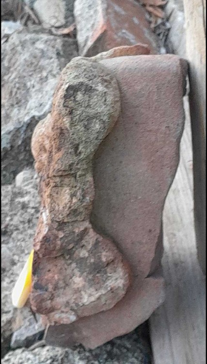 2022-11-18 16-37-50.jpg