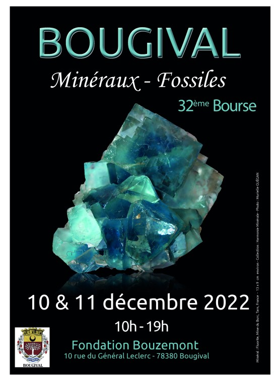 219388797_AfficheFINALE2022A3pourimpressionJourneasso.jpg
