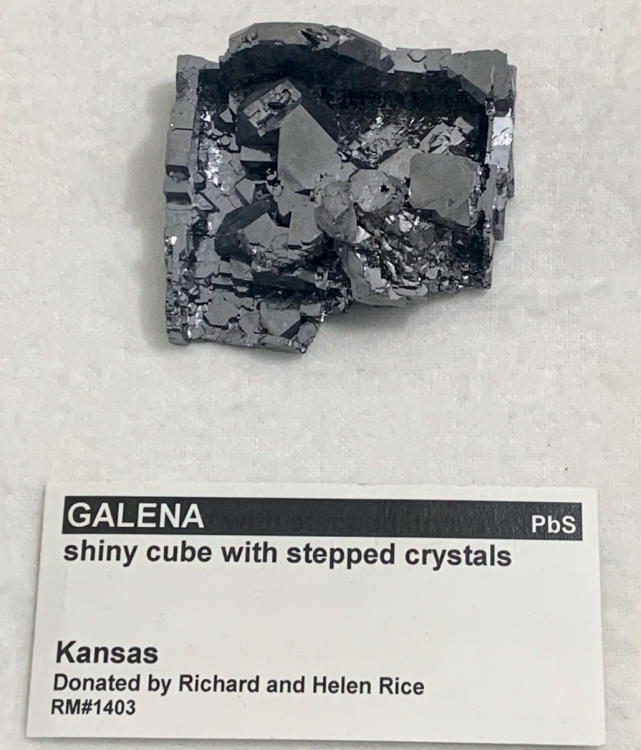 Capture d’écran 2022-12-20 à 04.05.18.png