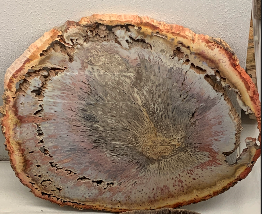 Capture d’écran 2022-12-17 à 23.05.50.png