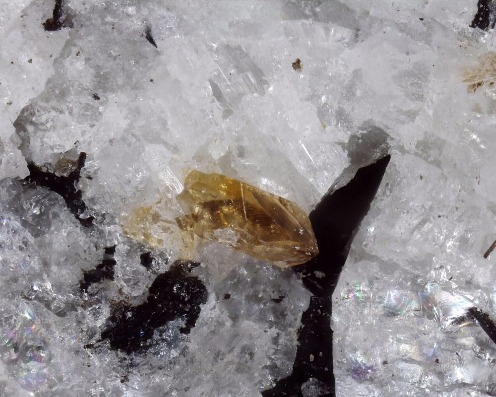 2022-12-16 19-06-48 (C,S4).jpg