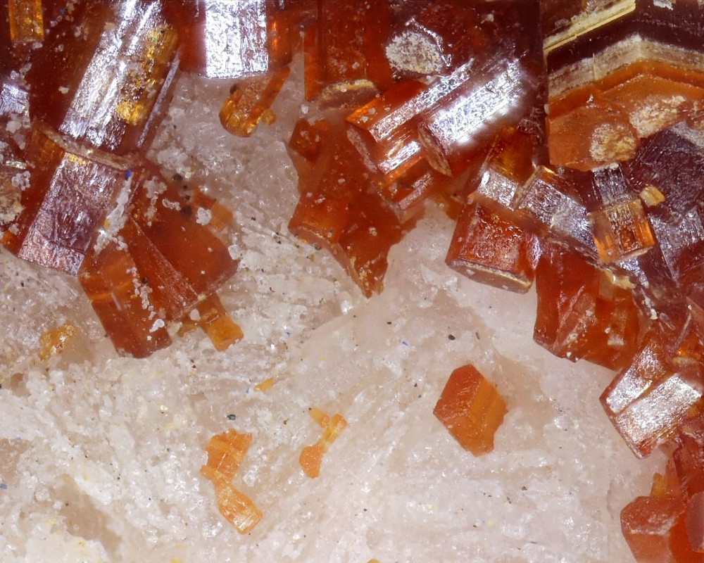 2022-12-16 15-05-43 (C,S4).jpg