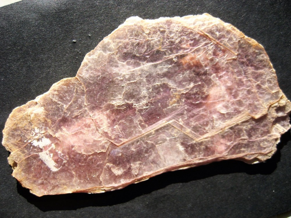 Mica(Muscovite)Puy de dome (63) France 1.JPG