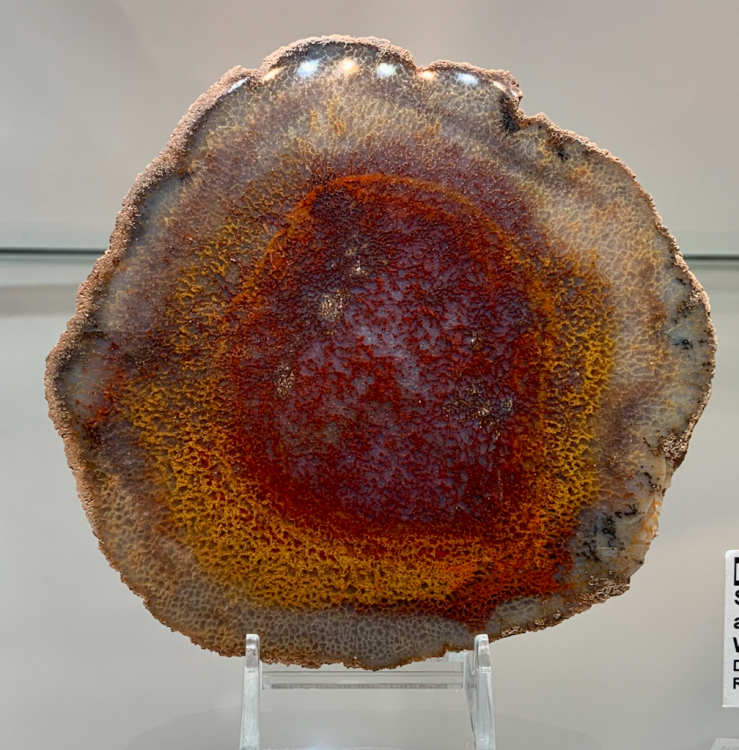 Capture d’écran 2022-12-17 à 23.04.00.png