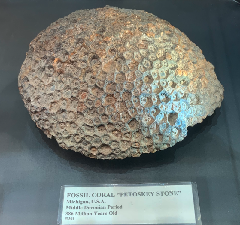 Capture d’écran 2022-12-17 à 23.03.25.png