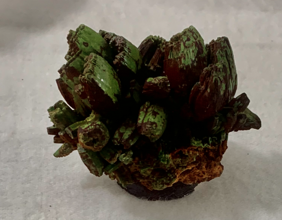 Capture d’écran 2022-12-20 à 04.06.33.png